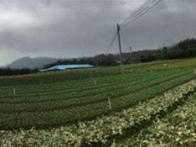 種植基地
